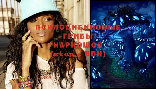 мдпв Чердынь