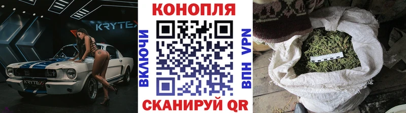 Купить закладки  Пудож  Бошки Шишки тримм 